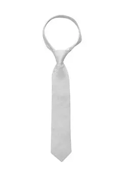Шелковый галстук высокого качества ETERNA, серебро