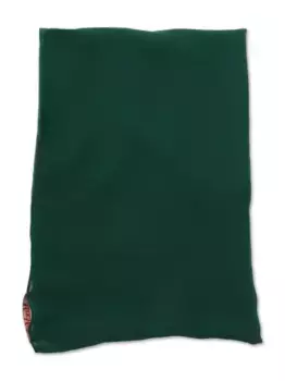 Шелковый платок MAX MARA, зеленый