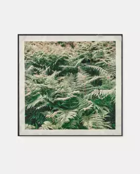 Шелковый шарф Aldan 65x65 Zubi, зеленый