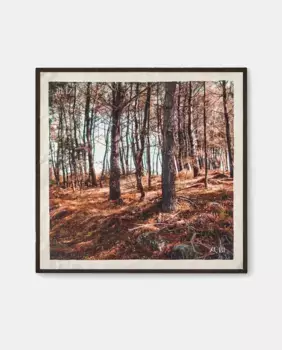 Шелковый шарф Mosteiro 65x65 Zubi, мультиколор