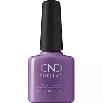 Шеллак Абсолютно Редис, Cnd