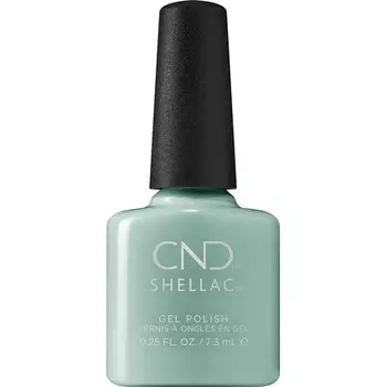 Шеллак Утренняя Роса, Cnd