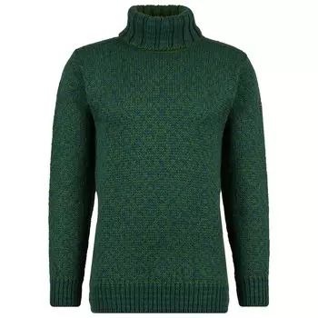Шерстяной свитер Devold Svalbard Sweat Highneck, цвет Forest/Woods