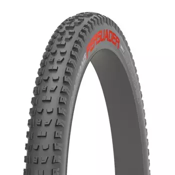 Шина для горного велосипеда Chaoyang Persuader Wet 60 TPI Btob Tubeless 27.5 x 2.60, серый
