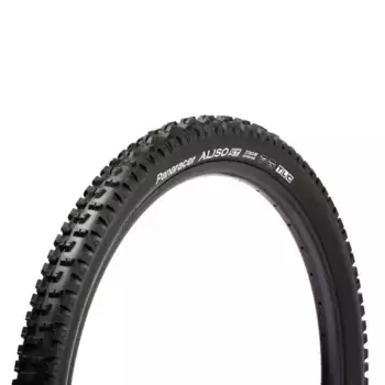 Шина для горного велосипеда Panaracer Aliso ST Tubeless 29 x 2.60, серебряный