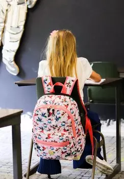 Школьная сумка BIRDS pick & PACK, цвет soft pink