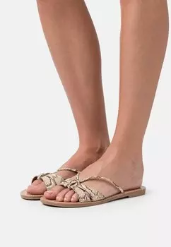 Шлепанцы Anna Field, коричневый