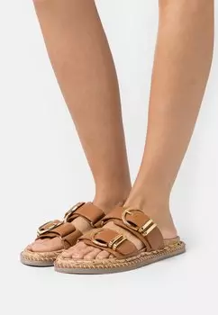 Шлепанцы ASRA