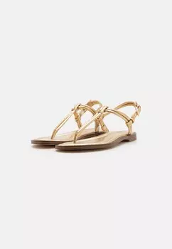 Шлепанцы ASTRA THONG MICHAEL Michael Kors, золото