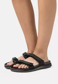 Шлепанцы Birkenstock