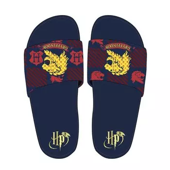 Шлепанцы Cerda Group Harry Potter Pool, синий