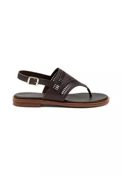 Шлепанцы Frau Shoes, коричневый