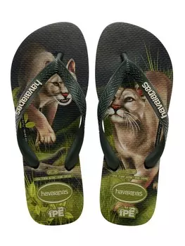 Шлепанцы Havaianas IPE, зеленый