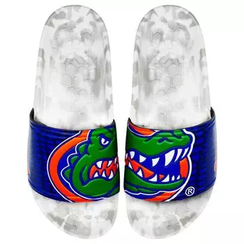 Шлепанцы HYPE Florida Gators, роял