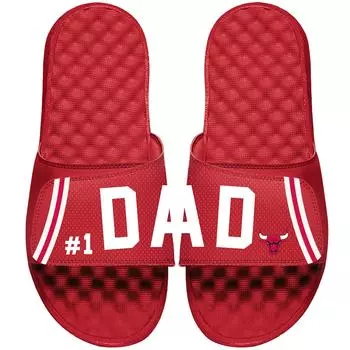 Шлепанцы ISlide Chicago Bulls, красный