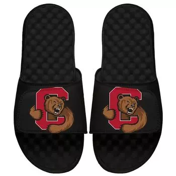 Шлепанцы ISlide Cornell Big Red, черный