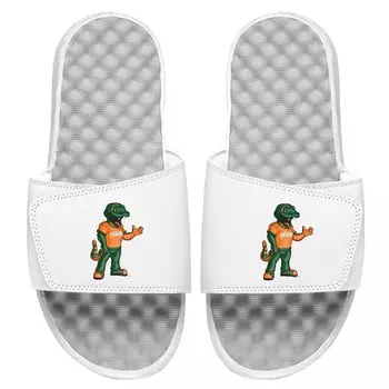 Шлепанцы ISlide Florida A And M Rattlers, белый