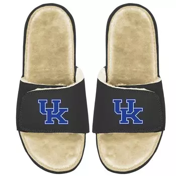 Шлепанцы ISlide Kentucky Wildcats, черный