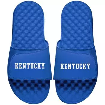 Шлепанцы ISlide Kentucky Wildcats, роял