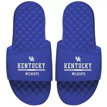 Шлепанцы ISlide Kentucky Wildcats, роял