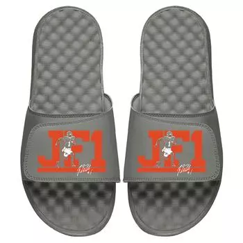 Шлепанцы ISlide Nflpa, серый