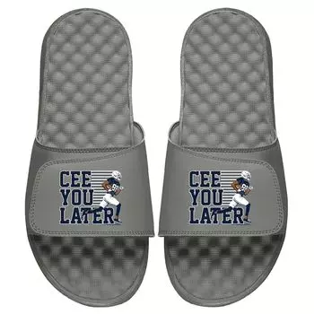 Шлепанцы ISlide Nflpa, серый