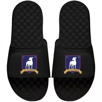 Шлепанцы ISlide Ted Lasso, черный