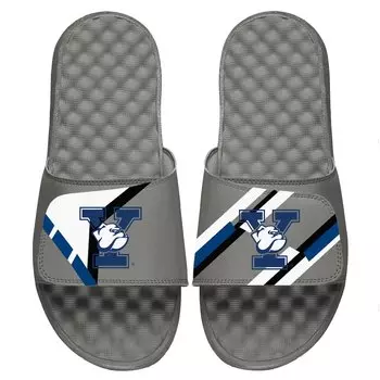 Шлепанцы ISlide Yale Bulldogs, серый