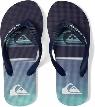 Шлепанцы Molokai Art Quiksilver, цвет Blue/Blue/White