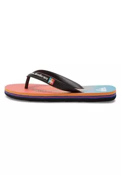 Шлепанцы MOLOKAI ART Quiksilver, цвет xbbn