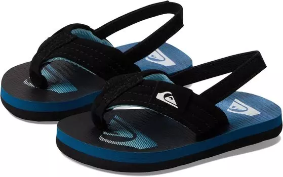 Шлепанцы Molokai Layback Quiksilver, цвет Blue 5