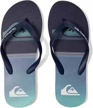 Шлепанцы Molokai Print Quiksilver, цвет Blue 3