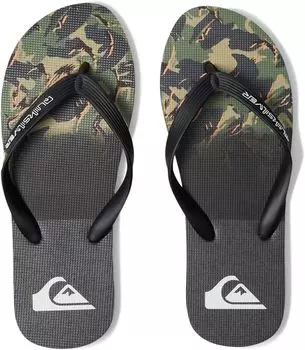 Шлепанцы Molokai Print Quiksilver, цвет (Panel) Green 1