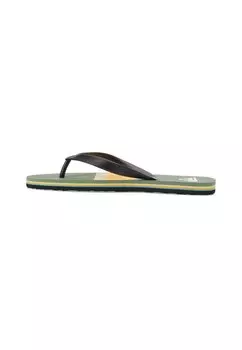 Шлепанцы MOLOKAI Quiksilver, зеленый