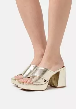 Шлепанцы mtng