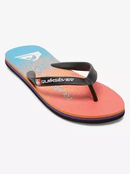 Шлепанцы Quiksilver MOLOKAI ART II, разноцветный