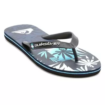Шлепанцы Quiksilver Molokai Art II, синий