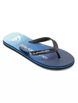 Шлепанцы Quiksilver MOLOKAI ART II, синий