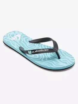 Шлепанцы Quiksilver MOLOKAI ART II, синий
