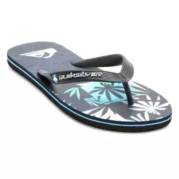 Шлепанцы Quiksilver Molokai Art II, синий