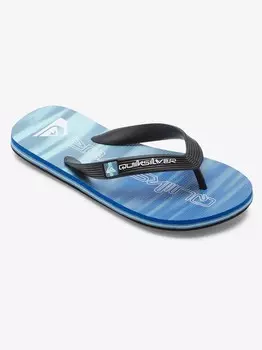 Шлепанцы Quiksilver MOLOKAI ART II YOUTH, синий