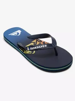 Шлепанцы Quiksilver MOLOKAI ART, разноцветный