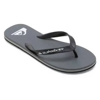Шлепанцы Quiksilver Molokai Core, серый