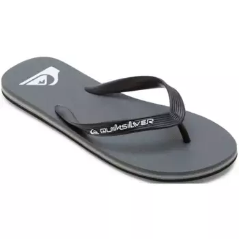 Шлепанцы Quiksilver "MOLOKAI CORE", серый