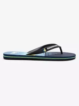 Шлепанцы Quiksilver MOLOKAI PANEL, разноцветный