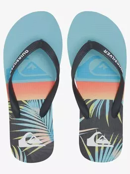 Шлепанцы Quiksilver MOLOKAI PANEL, разноцветный