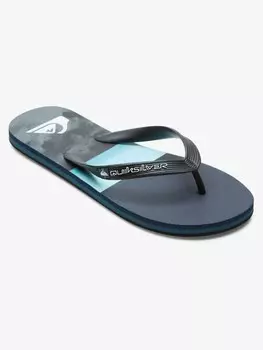 Шлепанцы Quiksilver MOLOKAI PANEL, разноцветный