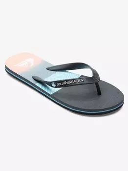 Шлепанцы Quiksilver MOLOKAI PANEL, разноцветный