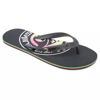 Шлепанцы Quiksilver Molokai Pulse, серый
