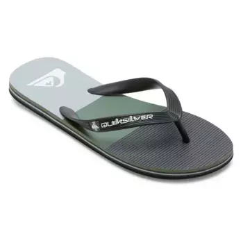 Шлепанцы Quiksilver Molokai, серый